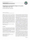 Research paper thumbnail of Morphological and biochemical changes in two parsley varieties upon water stress