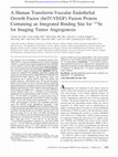 Research paper thumbnail of A human transferrin-vascular endothelial growth factor (hnTf-VEGF) fusion protein containing an integrated binding site for (111)In for imaging tumor angiogenesis