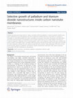 Selective growth of palladium and titanium dioxide nanostructures inside carbon nanotube membranes Cover Page