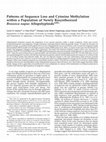 Research paper thumbnail of Patterns of Sequence Loss and Cytosine Methylation within a Population of Newly Resynthesized Brassica napus Allopolyploids