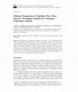 Research paper thumbnail of Protocols Efficient Preparation of Maritime Pine (Pinus pinaster) Protoplasts Suitable for Transgene Expression Analysis