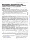 Research paper thumbnail of Mutational Analysis Identifies Residues Crucial for Homodimerization of Myeloid Differentiation Factor 88 (MyD88) and for Its Function in Immune Cells