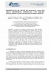 Research paper thumbnail of IMOBILIZAÇÃO DE LIPASE DE Burkholderia cepacia EM SÍLICA MESOPOROSA MODIFICADA COM LÍQUIDO IÔNICO PRÓTICO PARA SÍNTESE DE ÉSTERES ETÍLICOS