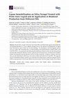 Research paper thumbnail of Lipase Immobilization on Silica Xerogel Treated with Protic Ionic Liquid and its Application in Biodiesel Production from Different Oils