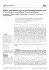 Research paper thumbnail of Natural Vegetation Recovery on Excavated Archaeological Sites: A Case Study of Ancient Burial Mounds in Bulgaria