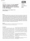 Research paper thumbnail of Induction of genes encoding NADPH oxidase components and activation of IFN regulatory factor-1 by prolactin in fish macrophages