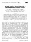 Research paper thumbnail of The efficacy of bacille Calmette-Guérin vaccine in wild brushtail possums (Trichosurus vulpecula)