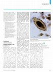 Research paper thumbnail of Prehistoric schistosomiasis parasite found in the Middle East