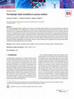 Research paper thumbnail of The Rayleigh–Taylor instability in a porous medium