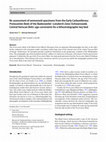 Research paper thumbnail of Re-assessment of ammonoid specimens from the Early Carboniferous Protocanites Beds of the Badenweiler–Lenzkirch Zone (Schwarzwald, Central Variscan Belt): age constraints for a lithostratigraphic key bed