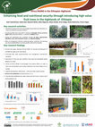 Research paper thumbnail of Enhancing food and nutritional security through introducing high value fruit trees in the highlands of Ethiopia