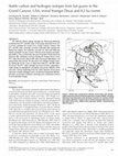 Research paper thumbnail of Stable carbon and hydrogen isotopes from bat guano in the Grand Canyon, USA, reveal Younger Dryas and 8.2 ka events