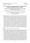 Research paper thumbnail of The role of Bakasang as immunostimulant on non-specific immune response in Nile Tilapia (Oreochromis niloticus)