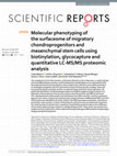 Research paper thumbnail of Molecular phenotyping of the surfaceome of migratory chondroprogenitors and mesenchymal stem cells using biotinylation, glycocapture and quantitative LC-MS/MS proteomic analysis