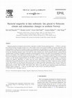 Research paper thumbnail of Bacterial magnetite in lake sediments: late glacial to Holocene climate and sedimentary changes in northern Norway