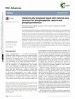 Research paper thumbnail of Hierarchically templated beads with tailored pore structure for phosphopeptide capture and phosphoproteomics