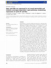 Research paper thumbnail of Gper and ESRs are expressed in rat round spermatids and mediate oestrogen-dependent rapid pathways modulating expression of cyclin B1 and Bax