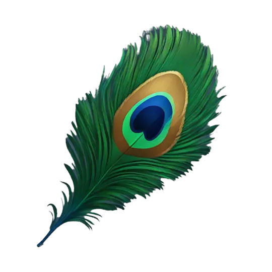 Peacock Feather