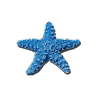 @rhaley-starfish