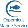 @copernicusmarine