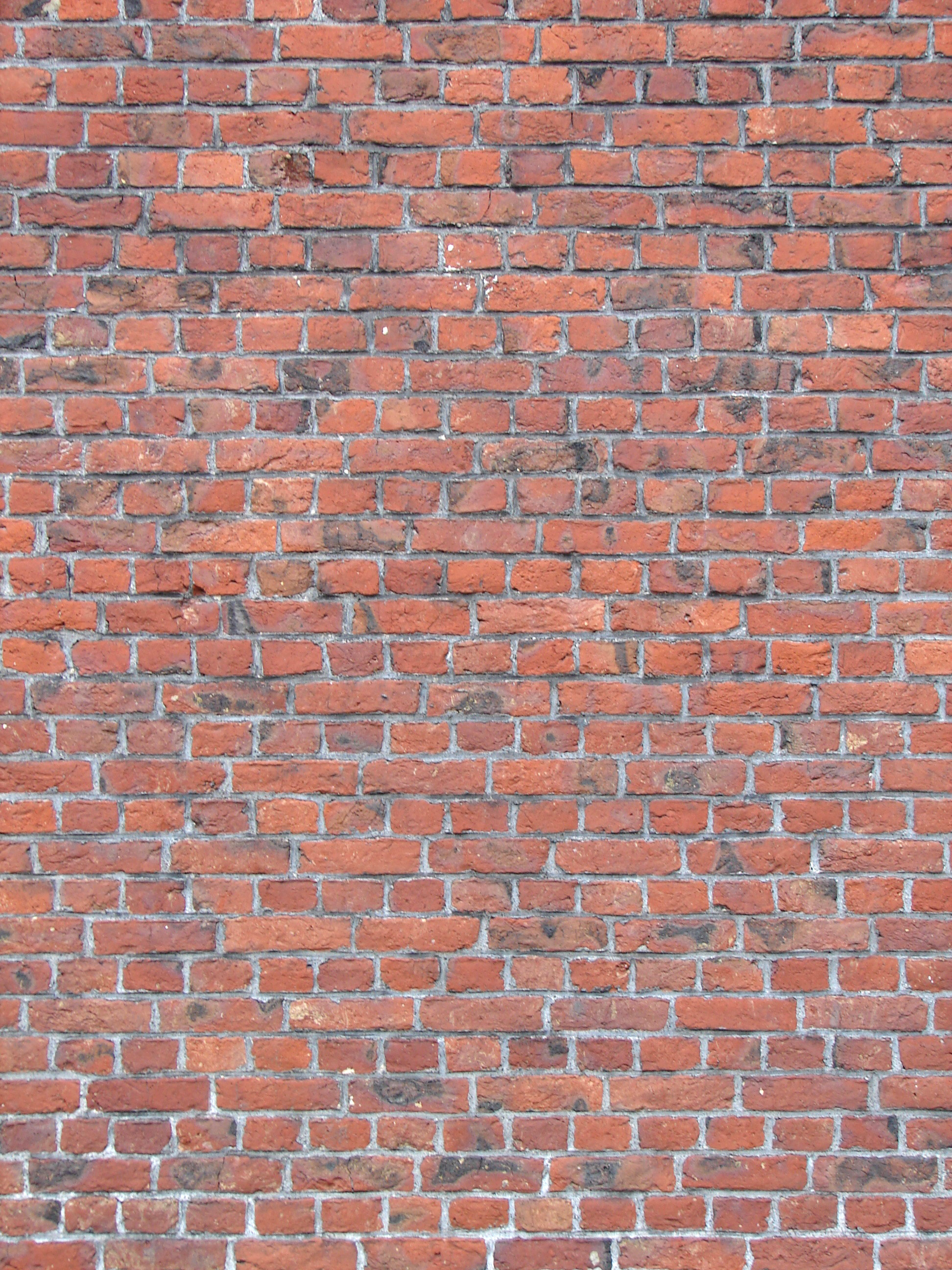 кирпичная стена, brick wall, текстура кирпичной стены, кирпичи, bricks texture