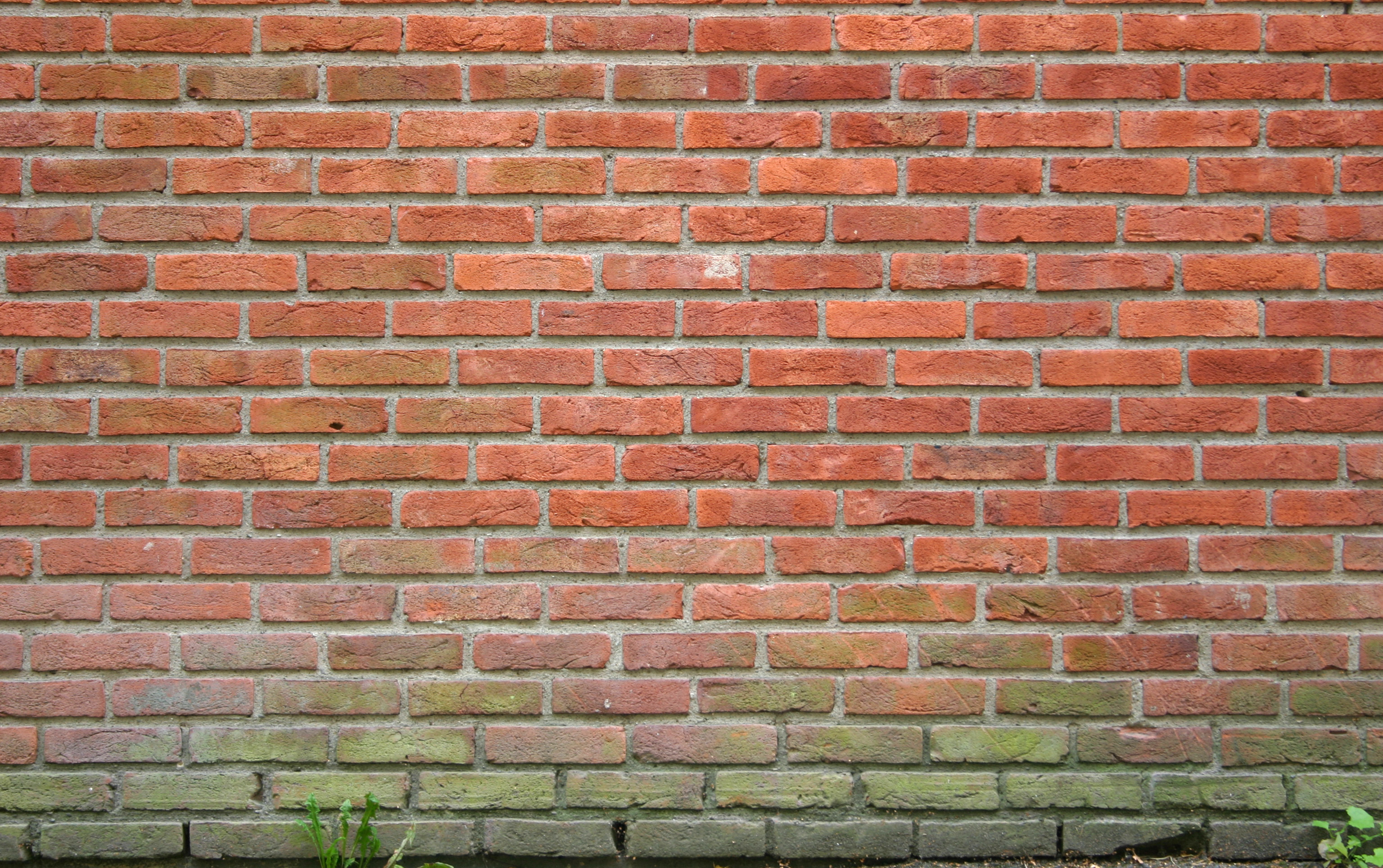 кирпичная стена, brick wall, текстура кирпичной стены, кирпичи, bricks texture