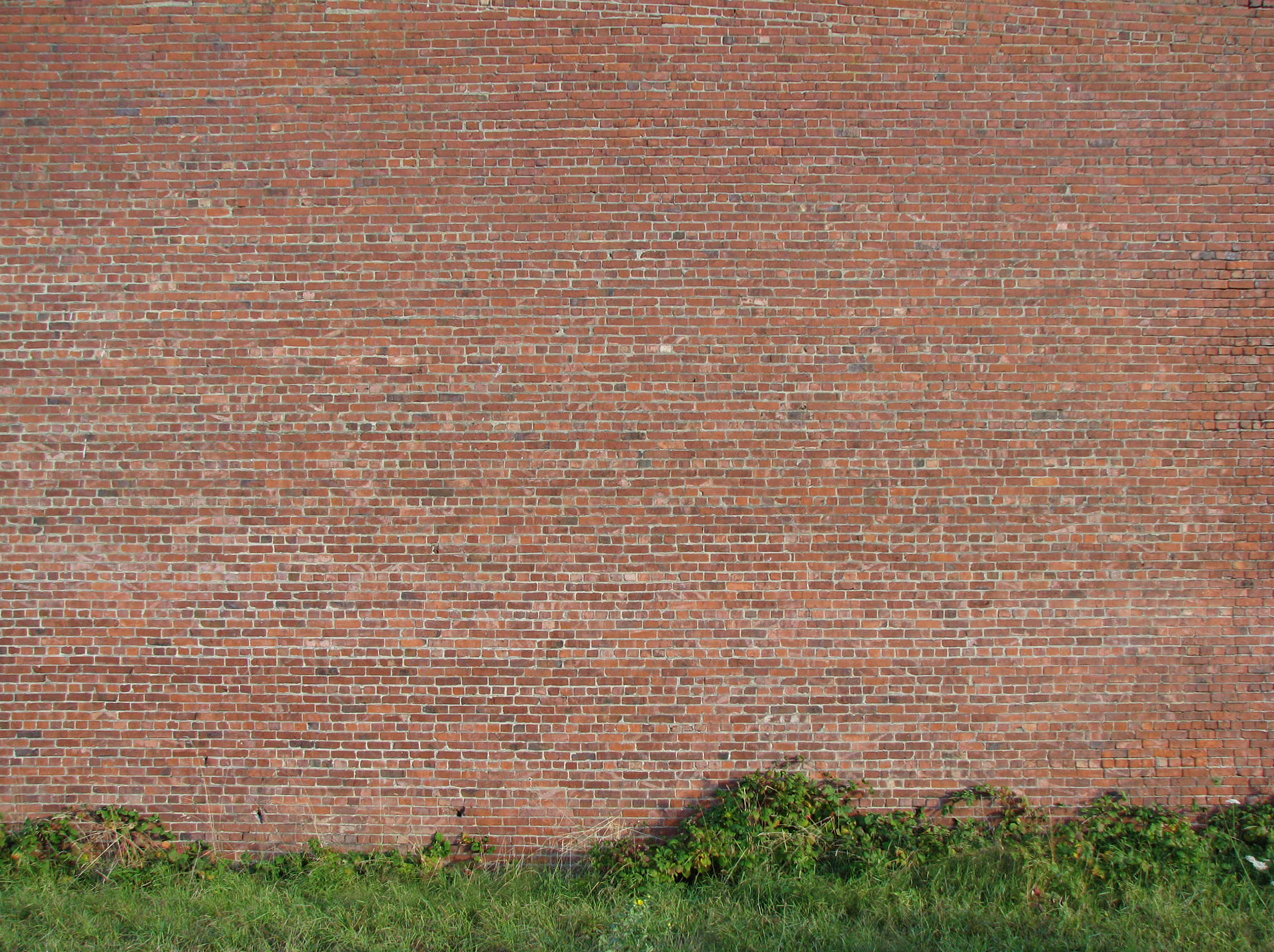 кирпичная стена, brick wall, текстура кирпичной стены, кирпичи, bricks texture