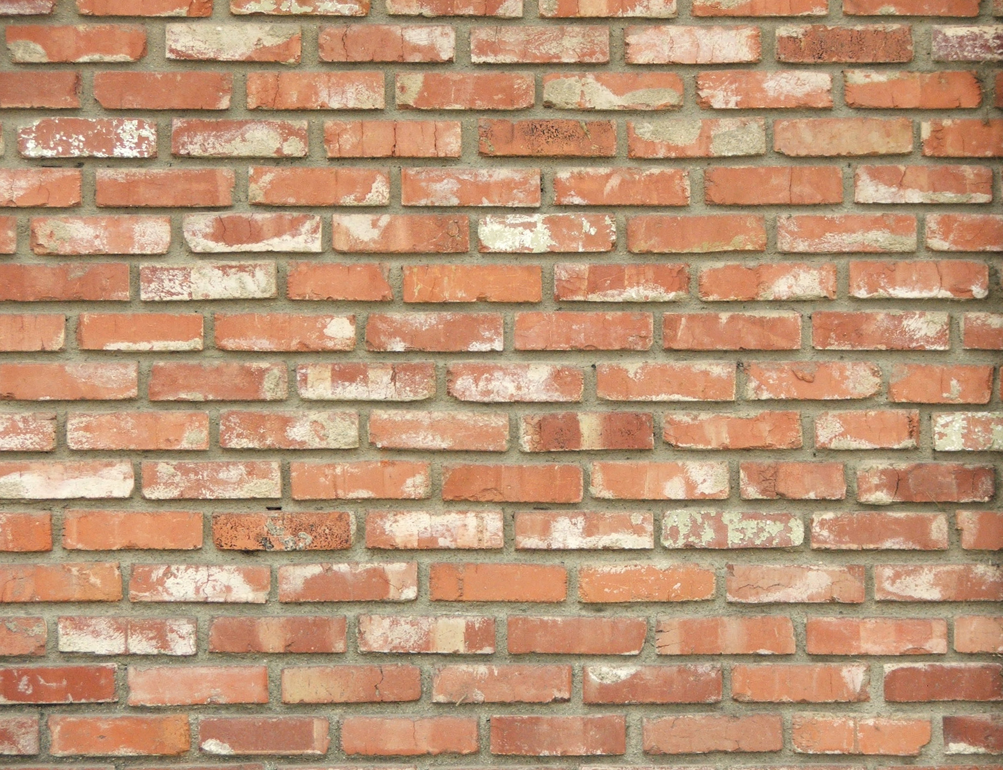 кирпичная стена, brick wall, текстура кирпичной стены, кирпичи, bricks texture