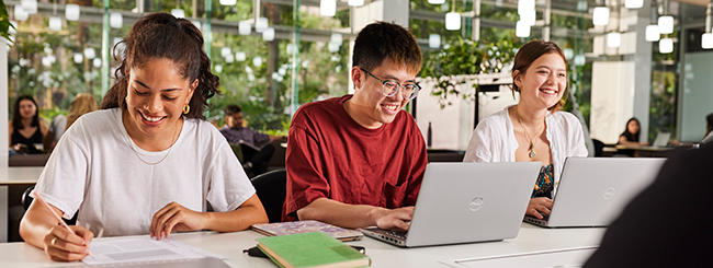 Students sitting in a row using laptops and studying