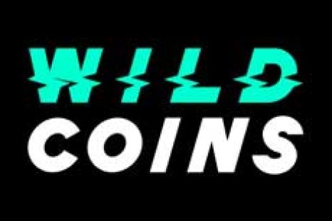 WildCoins No Deposit Bonus – 30 Free Spins on Dig Dig Digger