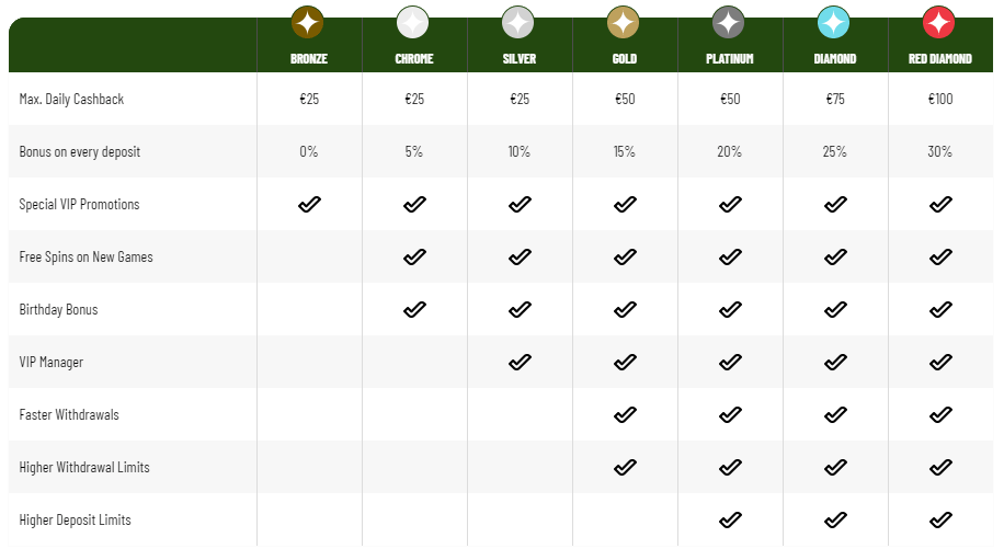 VIP bonuses, programs and managers