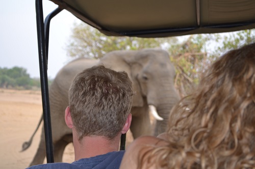 Safari Zambia