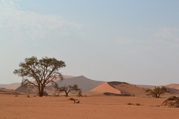 See sossusvlei Independently