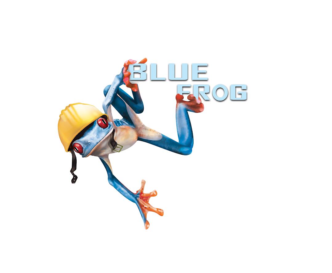 bluefrogllc