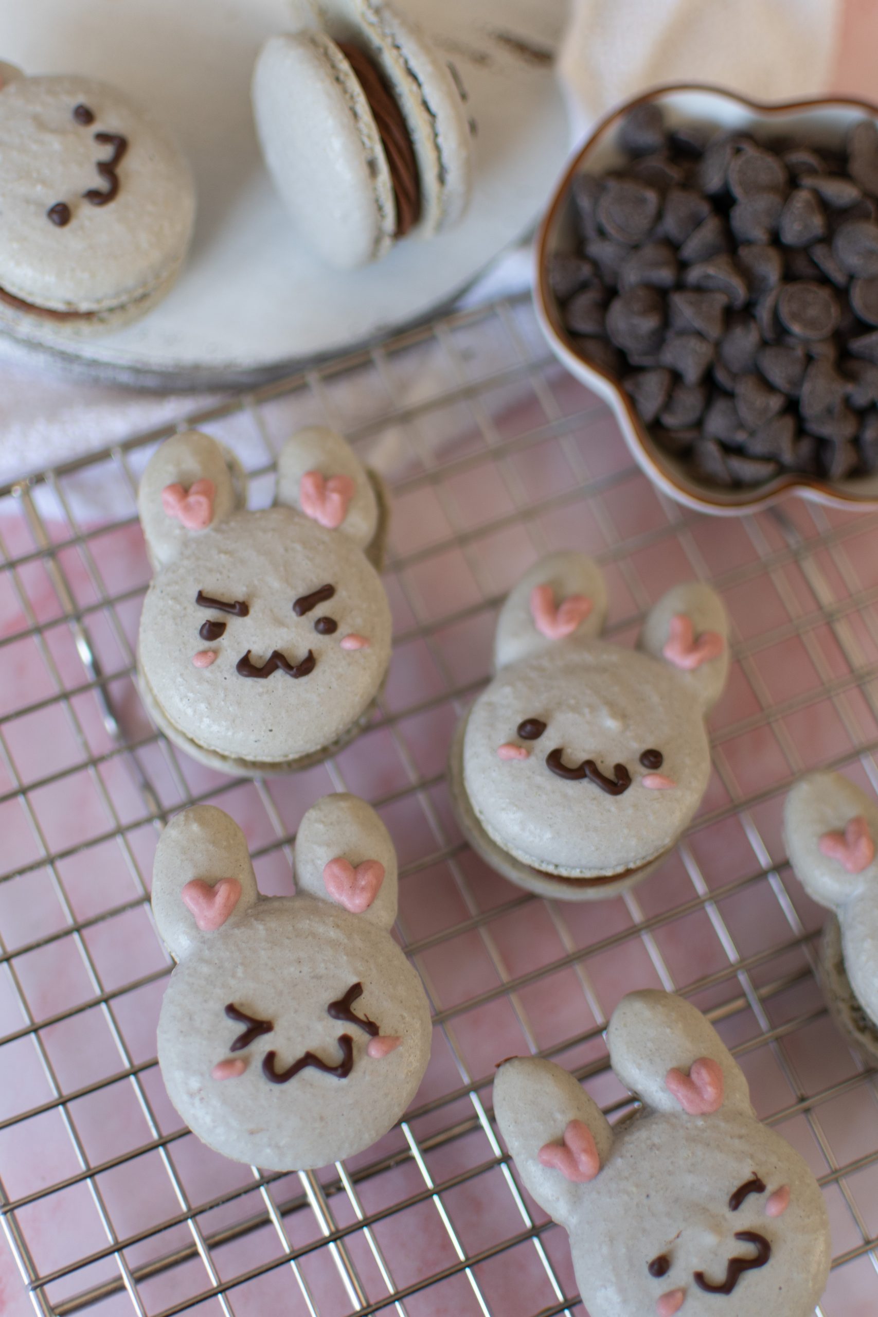 Chocolate bunny macarons