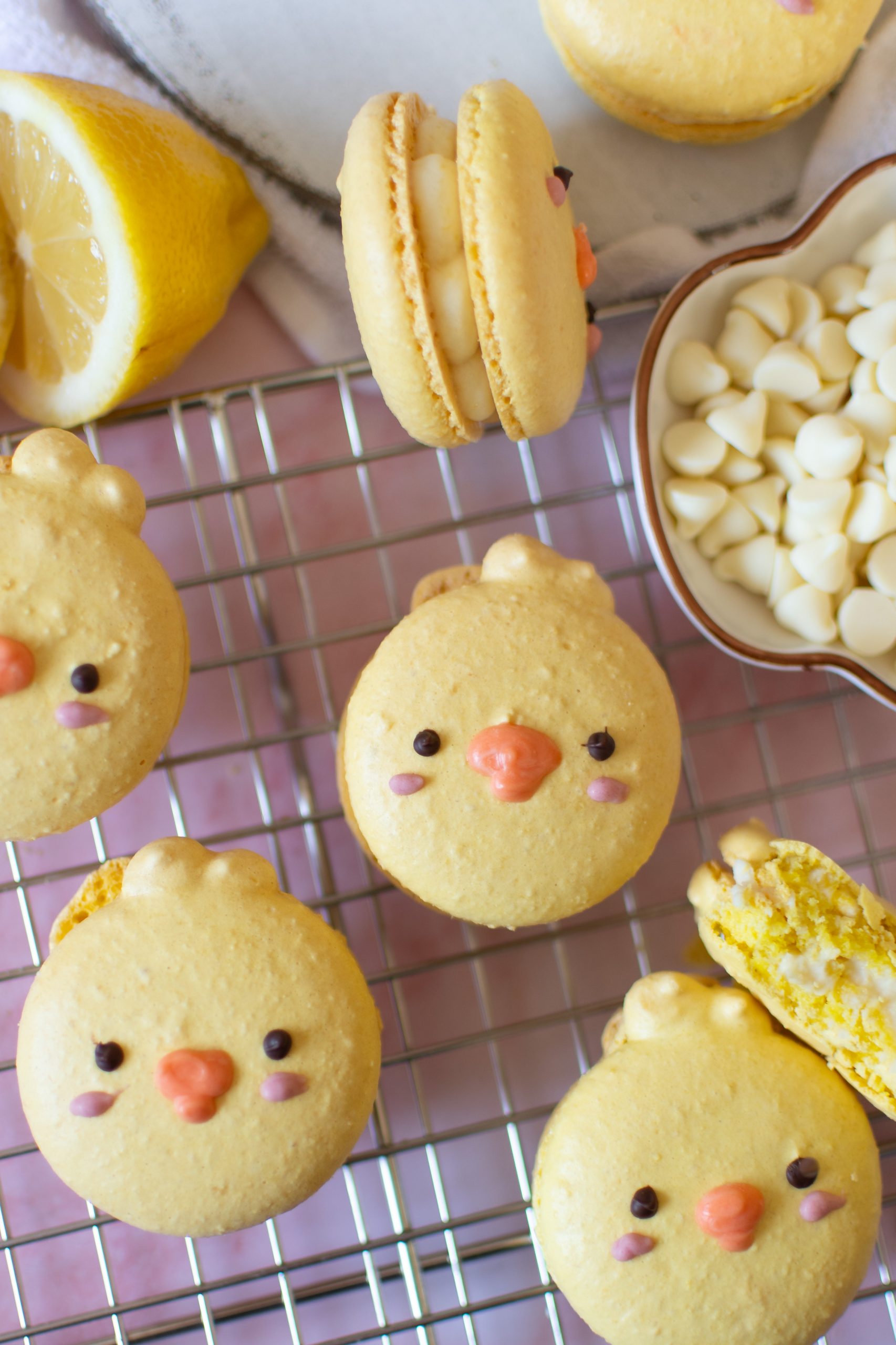 Chick macarons with lemon white chocolate ganache on wire rack