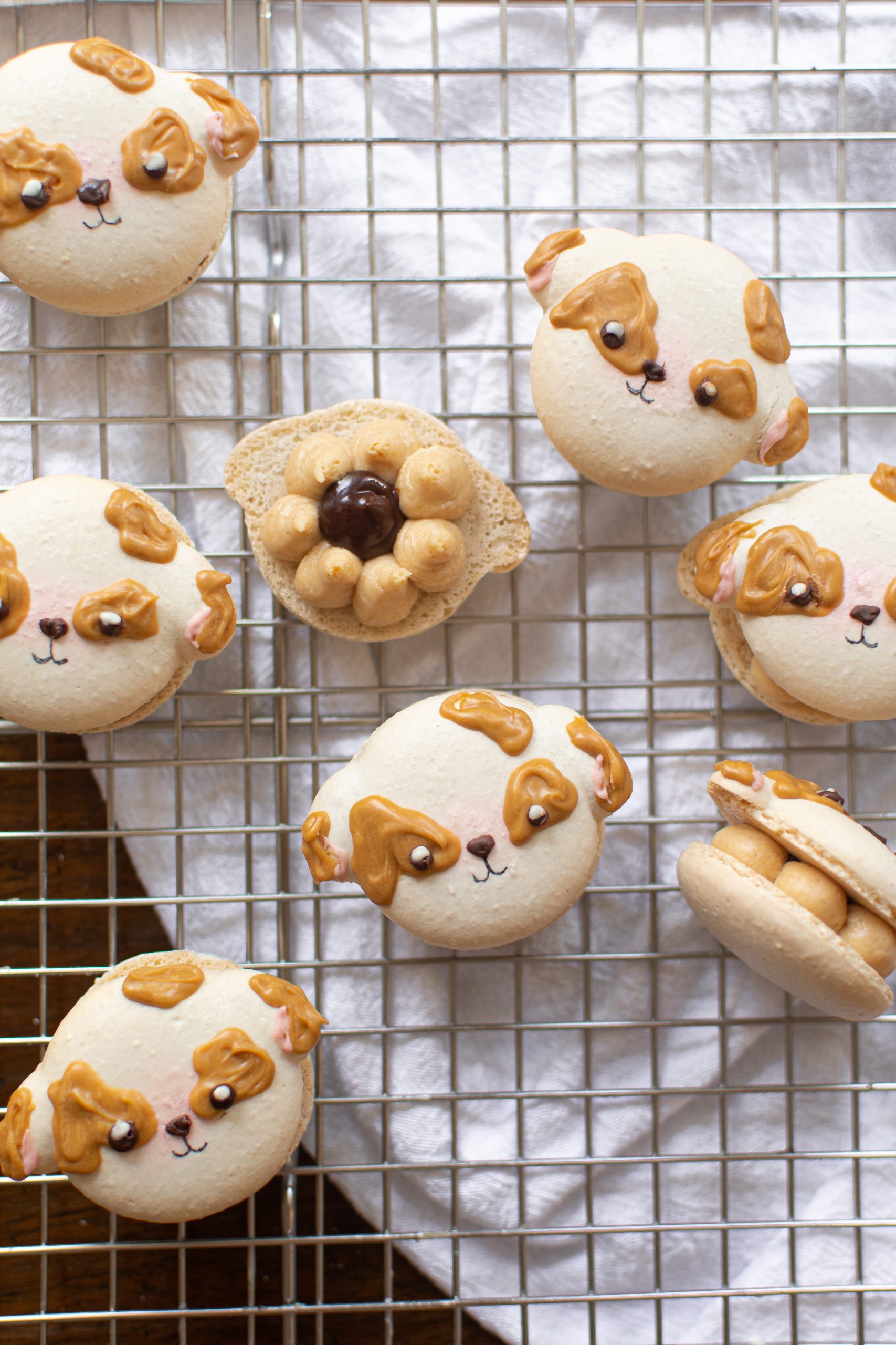 Peanut butter cheesecake dog macarons on wire rack