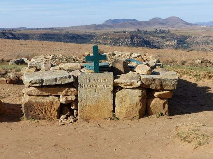 Blahovičník na Thaba Bosiu, Lesotho