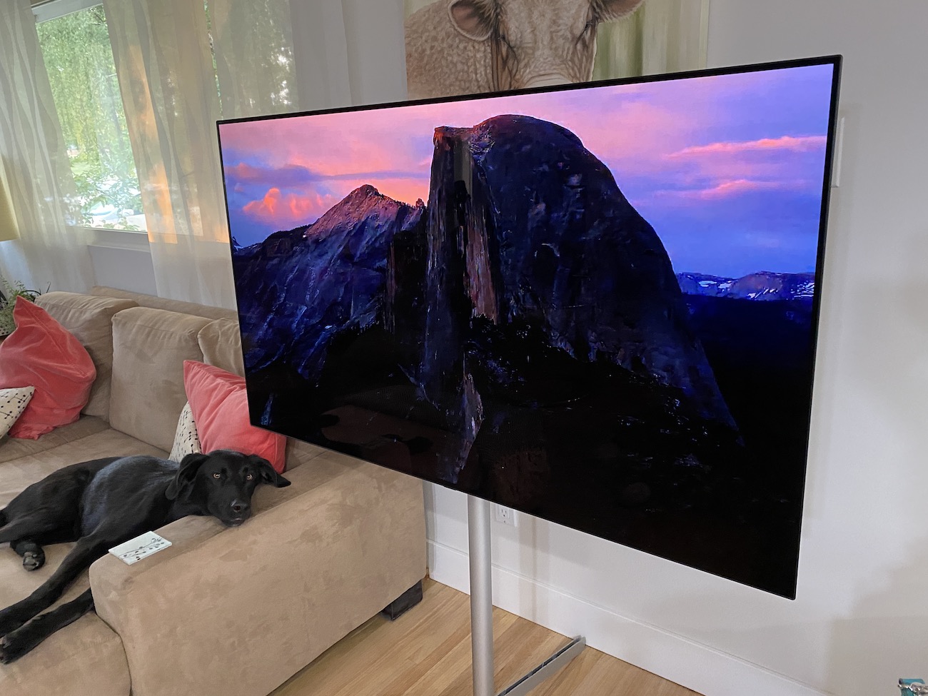 LG C1, OLED TV, review