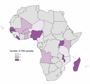 Map of Africa with the countries with MIS data in IPUMS DHS filled in with purple