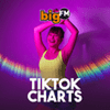 undefined bigFM TikTok Charts