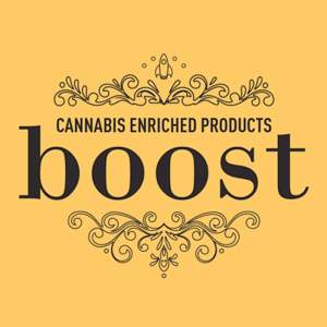 boost logo