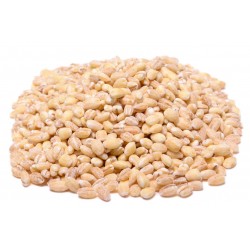 Pearled Barley