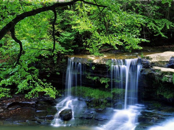 Wald,Wasserfall,Wasser,Natur,Grün,Fluss