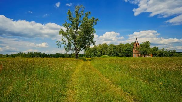 paysage, colline, la nature, herbe, ciel, des arbres