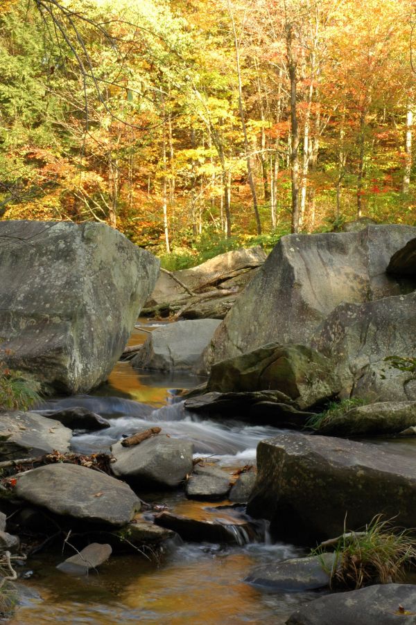 alberi,paesaggio,foresta,cascata,acqua,roccia