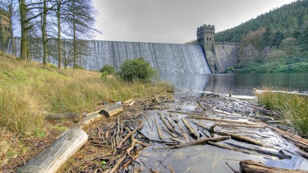 вода,природа,дърво,река,езерце,поток