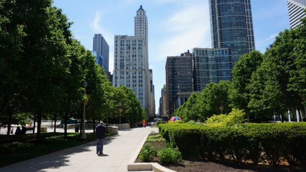 Stadt, Stadtbild, die Architektur, Park, Tourismus, Skyline