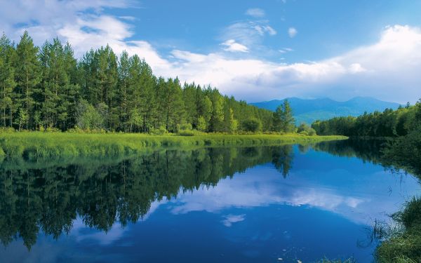 paesaggio,foresta,lago,natura,riflessione,fiume