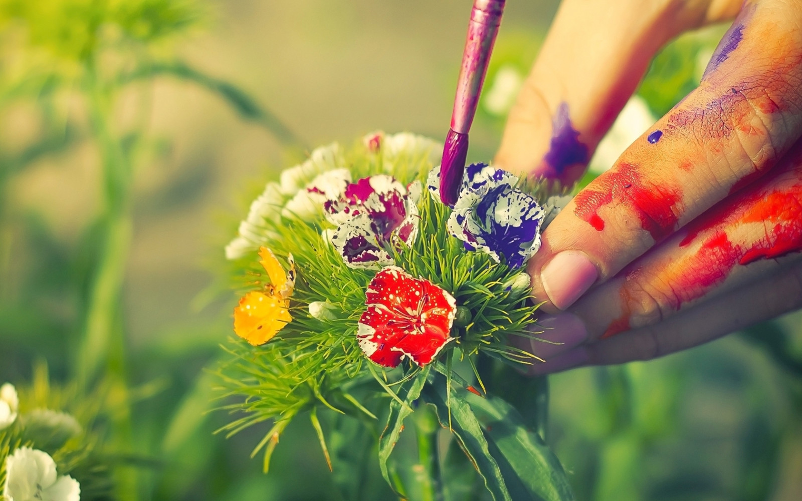 flowers, nature, grass, field, photography, brush, flower, plant, flora, paint, petal, meadow, arm, wildflower, botany, land plant, flowering plant, close up, macro photography, floristry, plant stem, flower bouquet